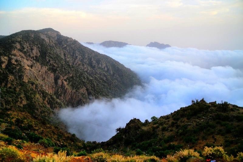 جبال السودة — أبها